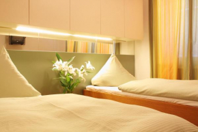Hotel Solitaire, Kocourovec
